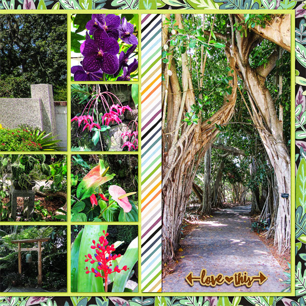 Selby Gardens2, right side