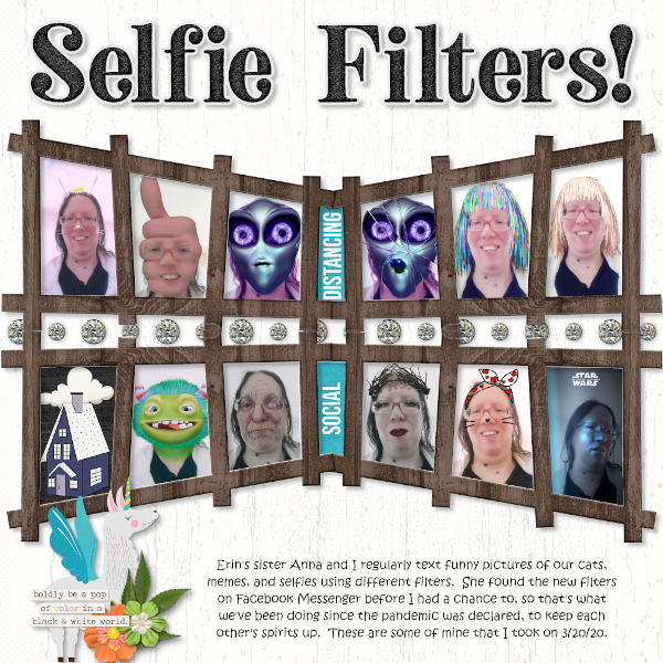 Selfie Filters