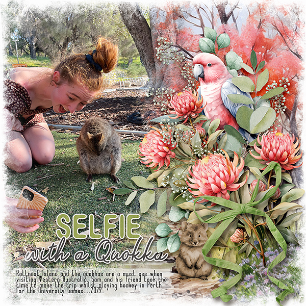 Selfie with a Quokka