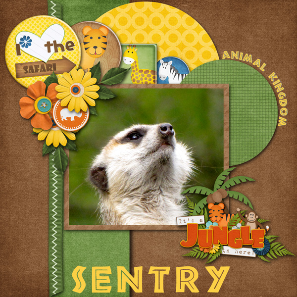 Sentry