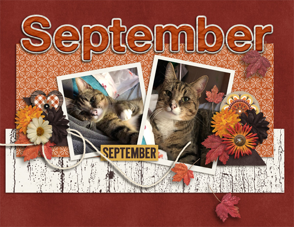 Sept 2020 Calendar