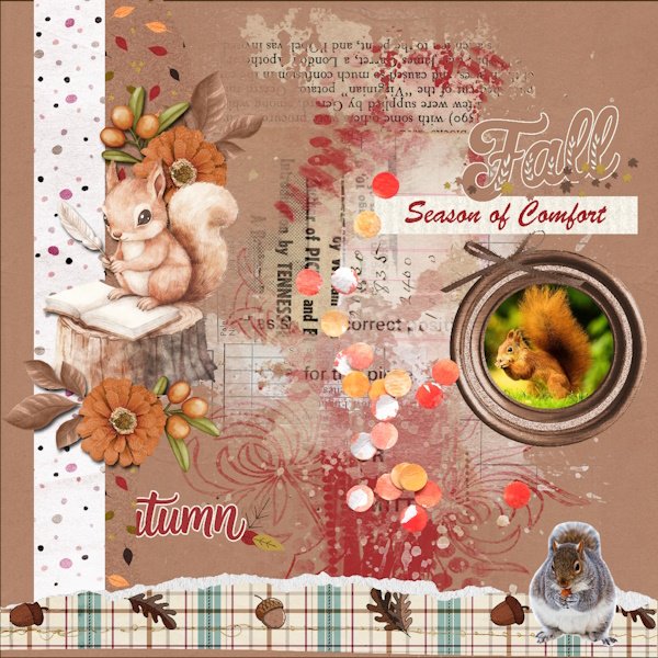 Sept.2025-Buffet Challenge-Squirrel.jpg