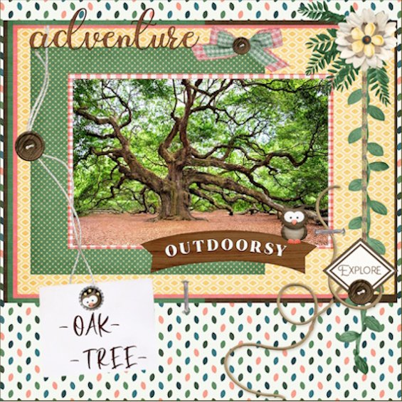 Sept. 2025 - Font Challenge -OAK-TREE-.jpg