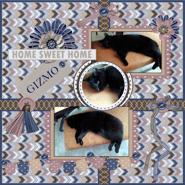SEPT. 2025 -MEMORY MIX UP CHALLENGE-GIZMO.jpg