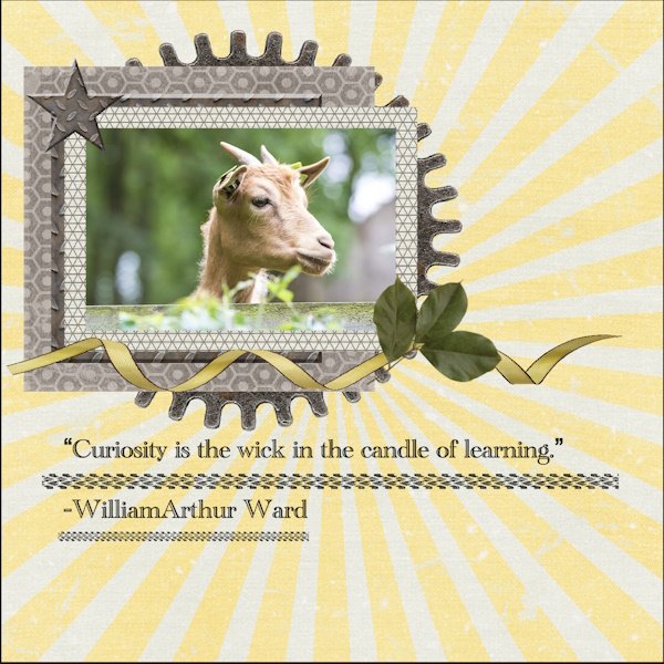 Sept. 2025 Quote Challenge-Curiosity.jpg