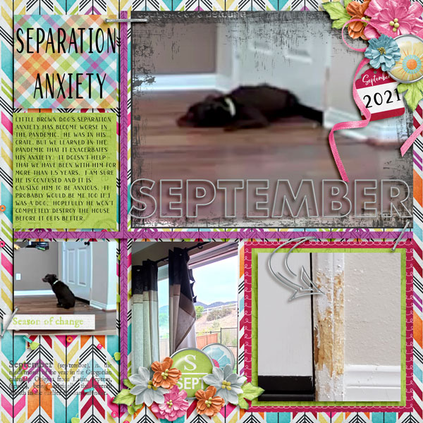 Sept 21