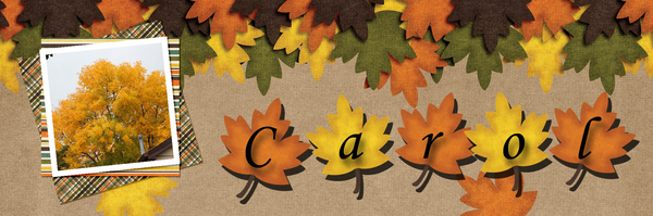 Sept_Siggie3