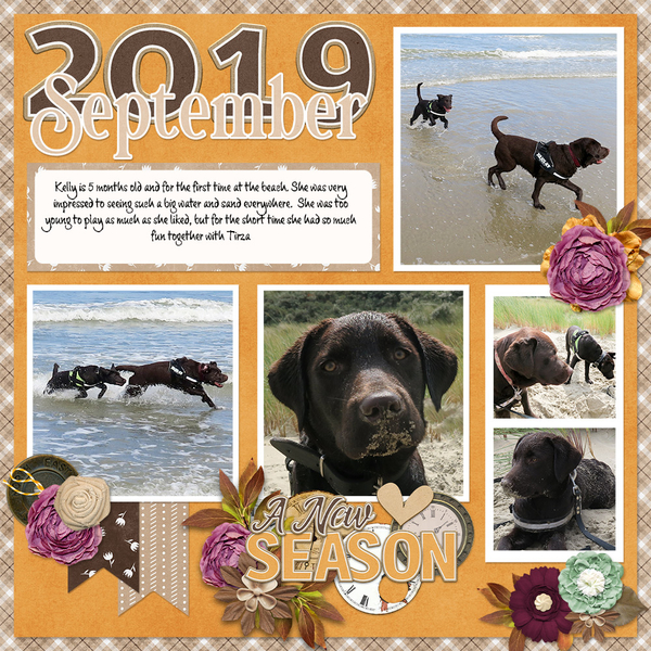 September 2019 - Kelly