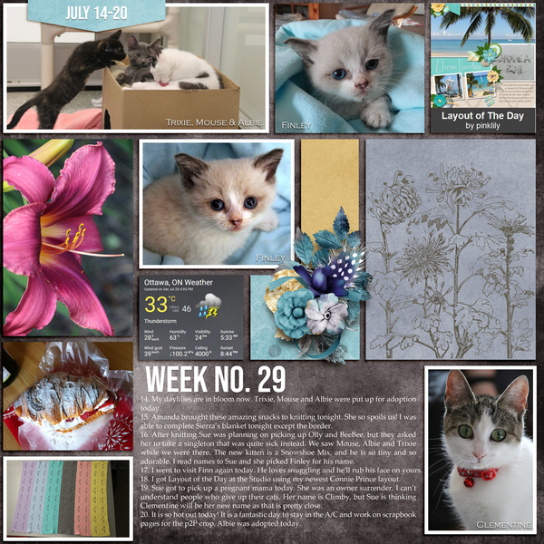 September 2020 Brush Challenge