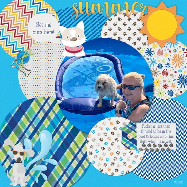 September 2020 Created with Rewards: Tucker in the Pool