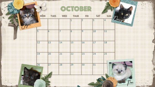 September 2020 Desktop Challenge