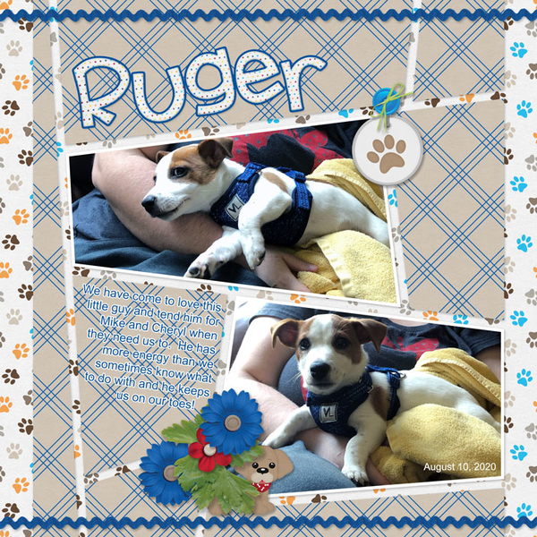 September 2020 Gingerscraps Created With Rewards Challenge