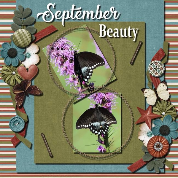 September Beauty