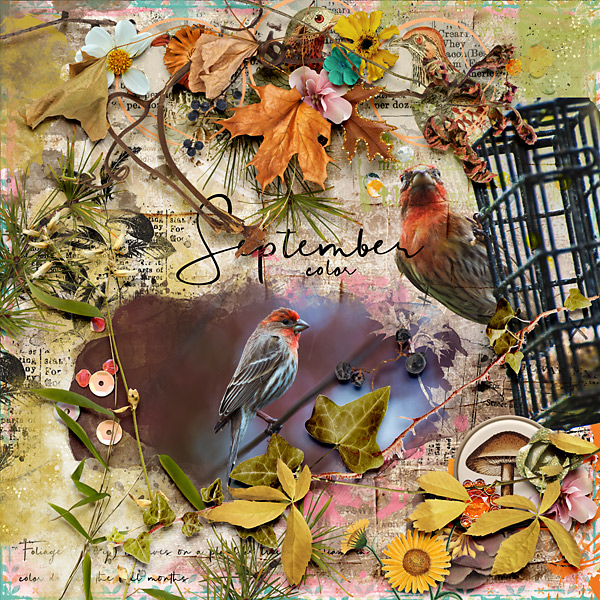 September Color