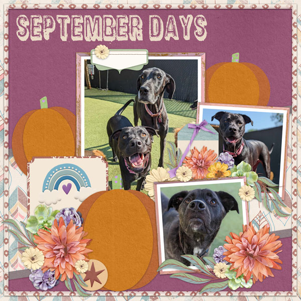 September Days