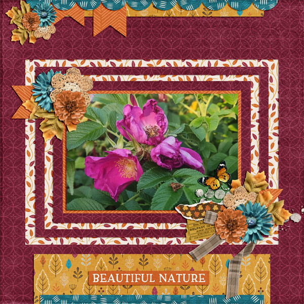 september flowers