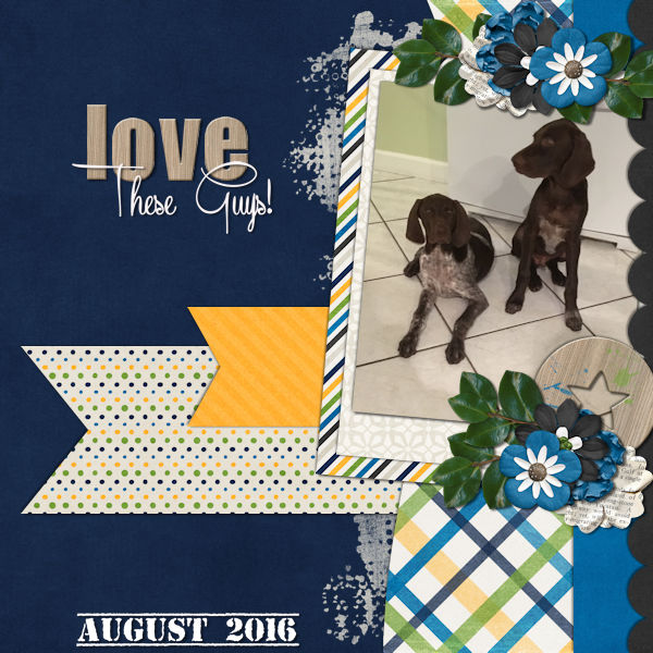 September Font Challenge