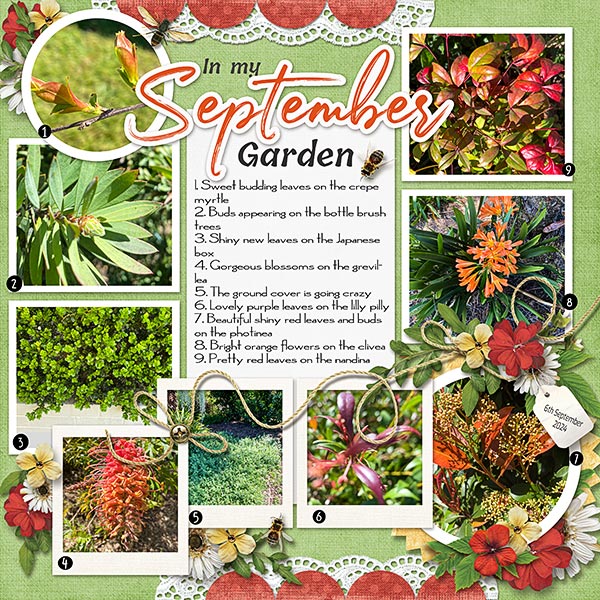 September Garden