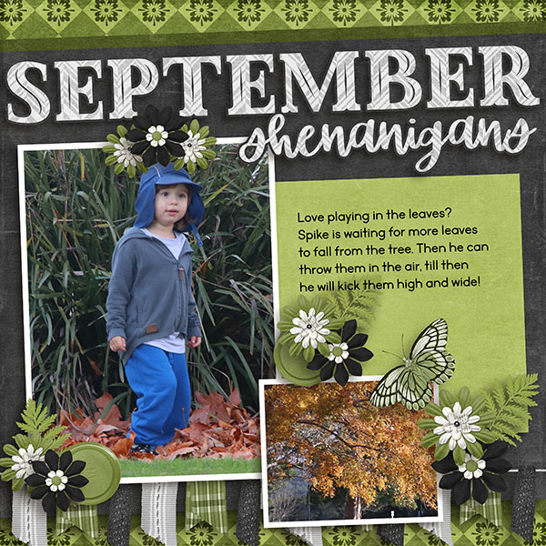 September Leaves