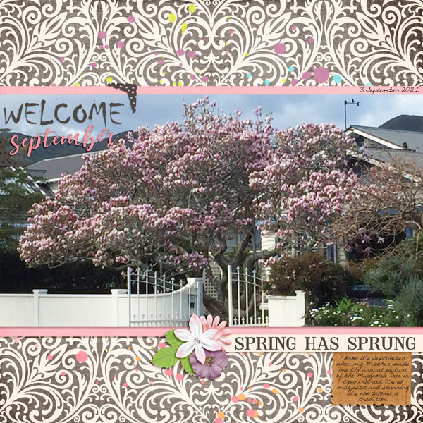 September Magnolia