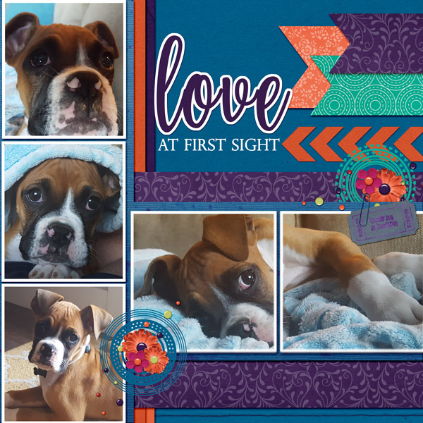 September-Puppy-Love2WEB