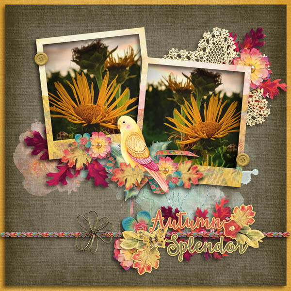 September Sunflowers
