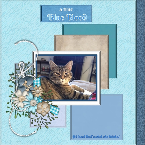 September Template #1 Challenge