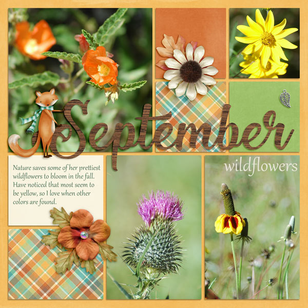 September Wildflowers