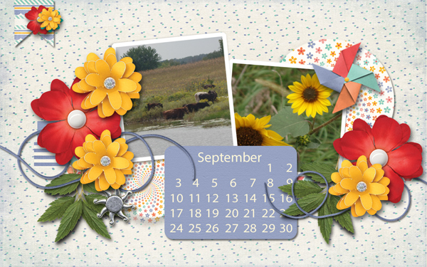 September