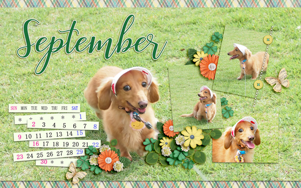 September