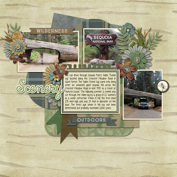 Sequoa-web