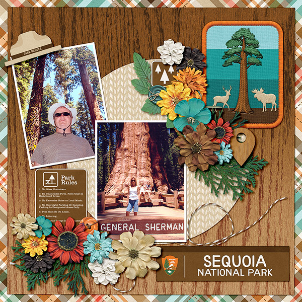 Sequoia National Park, California