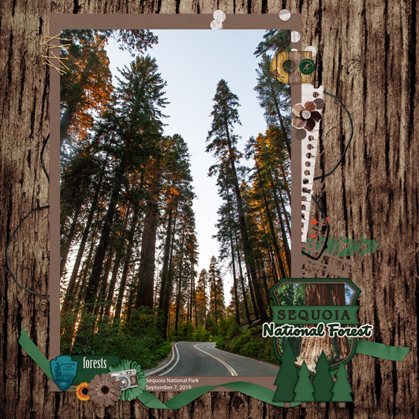 Sequoia National Park