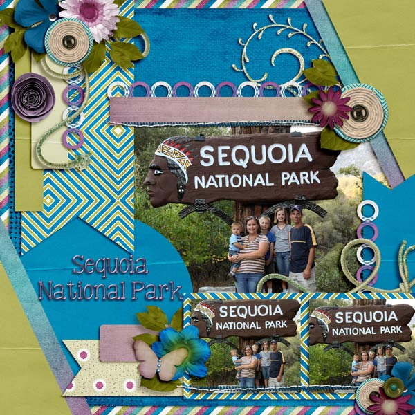 Sequoia