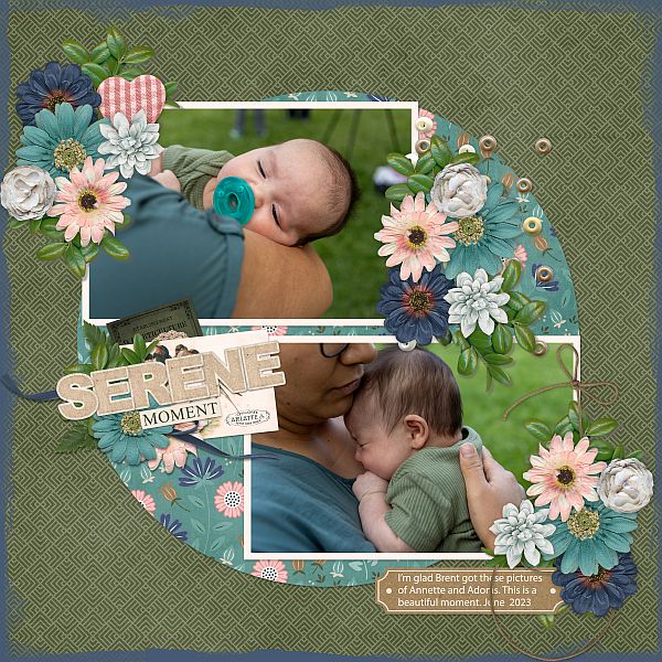 Serene Moment