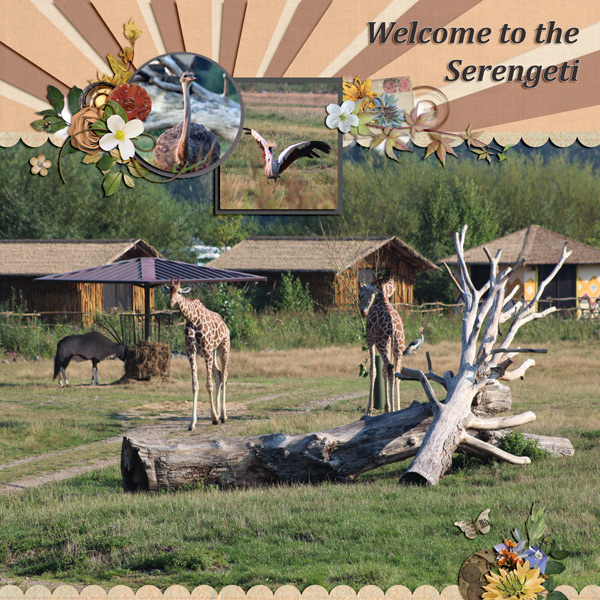 Serengeti 2019