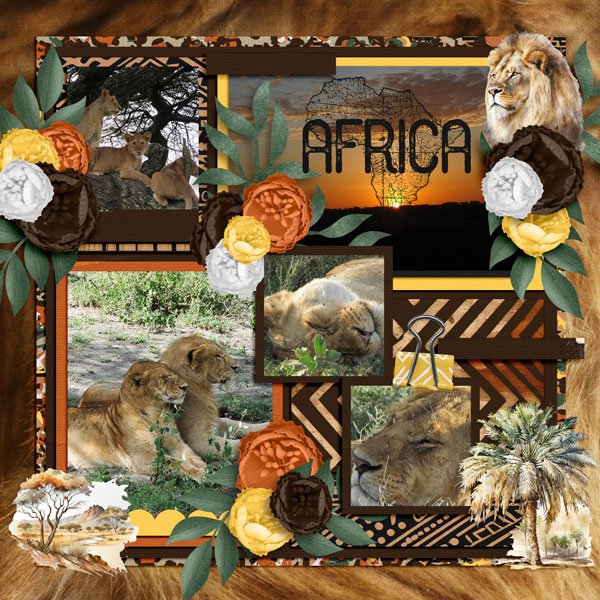 Serengeti