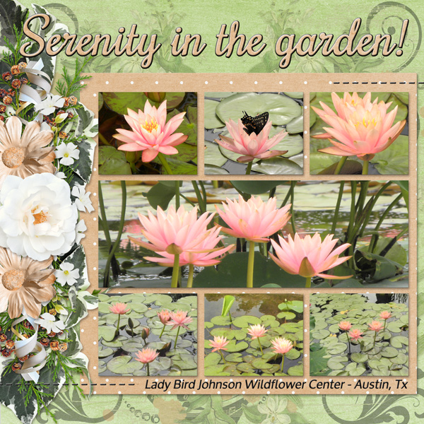 Serenity in the garden!