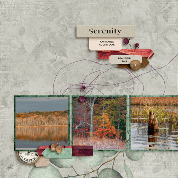 SERENITY -TEMP 3 -NOV 23