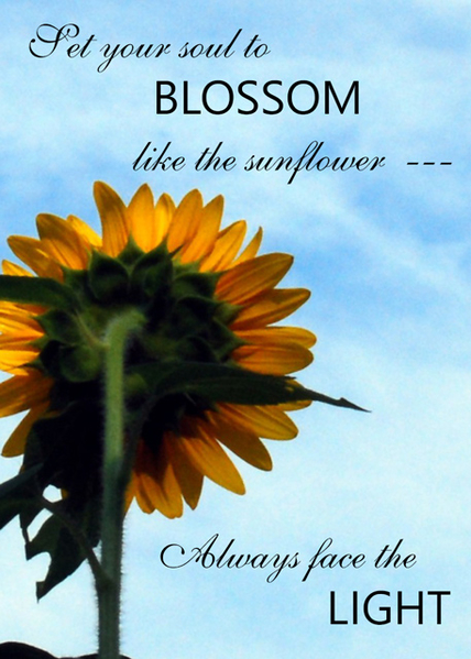 Set Your Soul to Blossom
