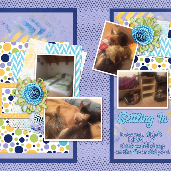 Settling In : Jumpstart Designs
