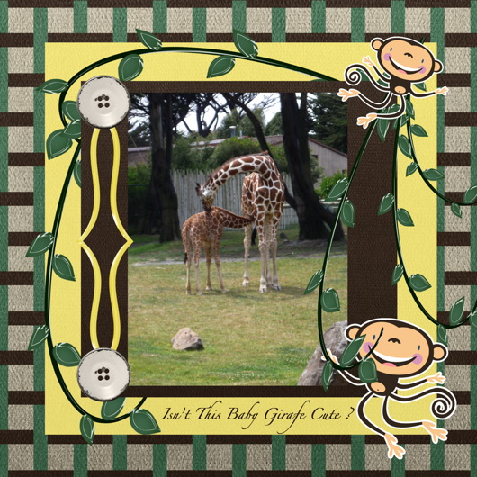 SFO Zoo