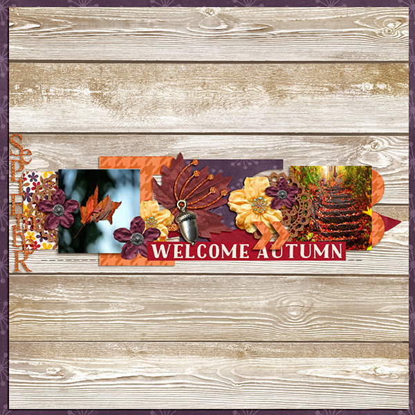 sgleason_aloefreebie_one-1a
