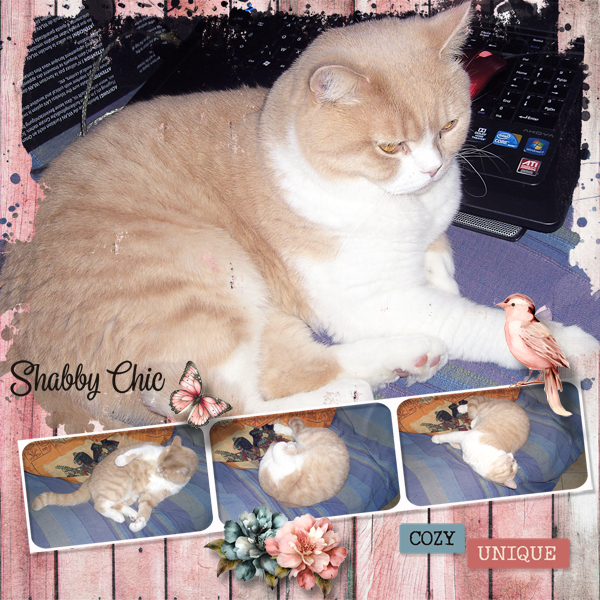 Shabby Chic