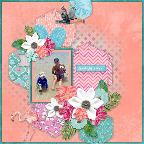 Shabby Shapes 1 Temp #4-Miss Fish Flamingo Road-Aimee