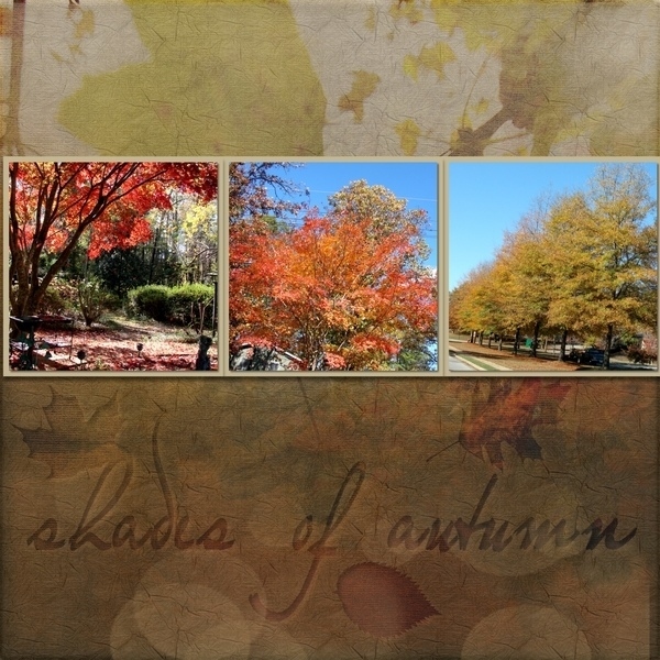 Shades of Autumn