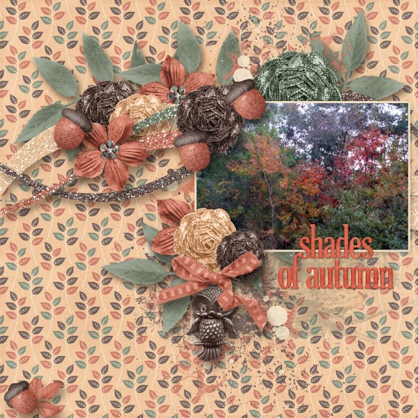 Shades of Autumn