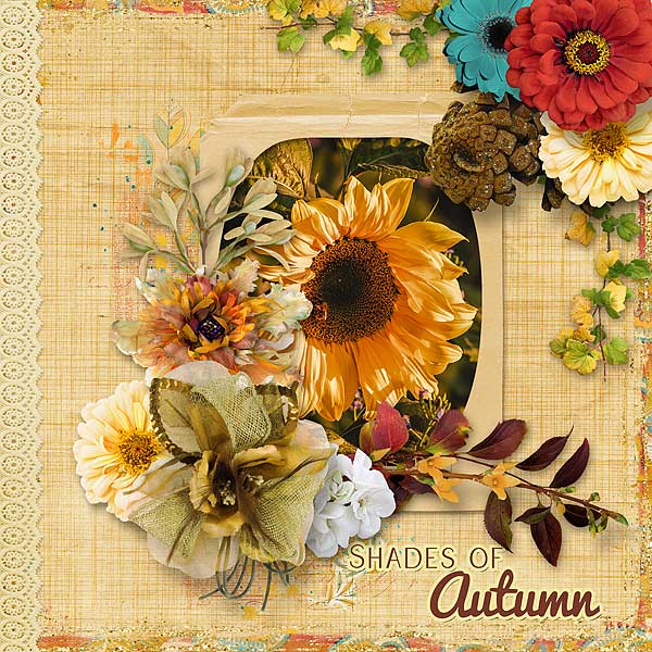 Shades Of Autumn