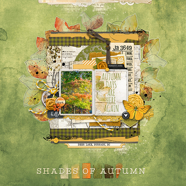 Shades of Autumn