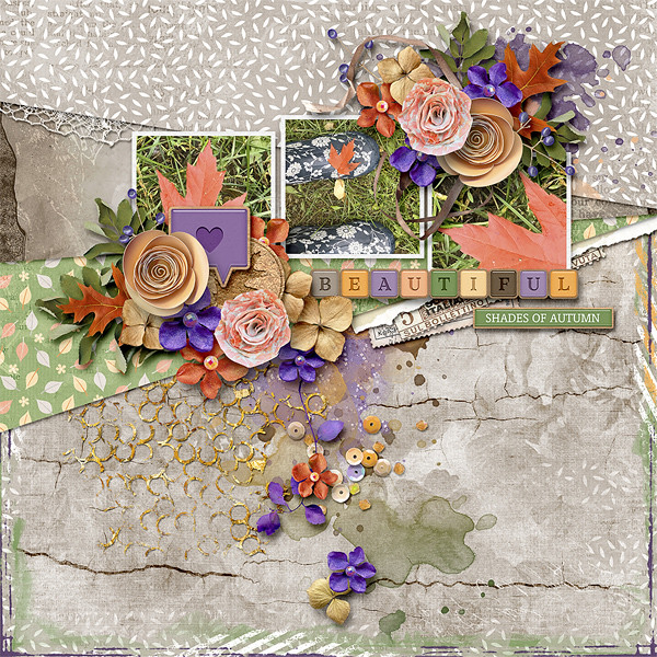 Shades of Autumn